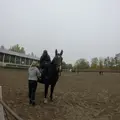 Я Юлия, 23, знакомлюсь для вирта в Сторожинце