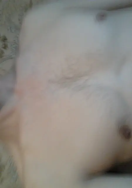 Сергей з Сорокине, мені 54 років, познайомлюсь для дружби