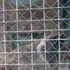Maksim из Вознесенска, мне 42, познакомлюсь на одну ночь